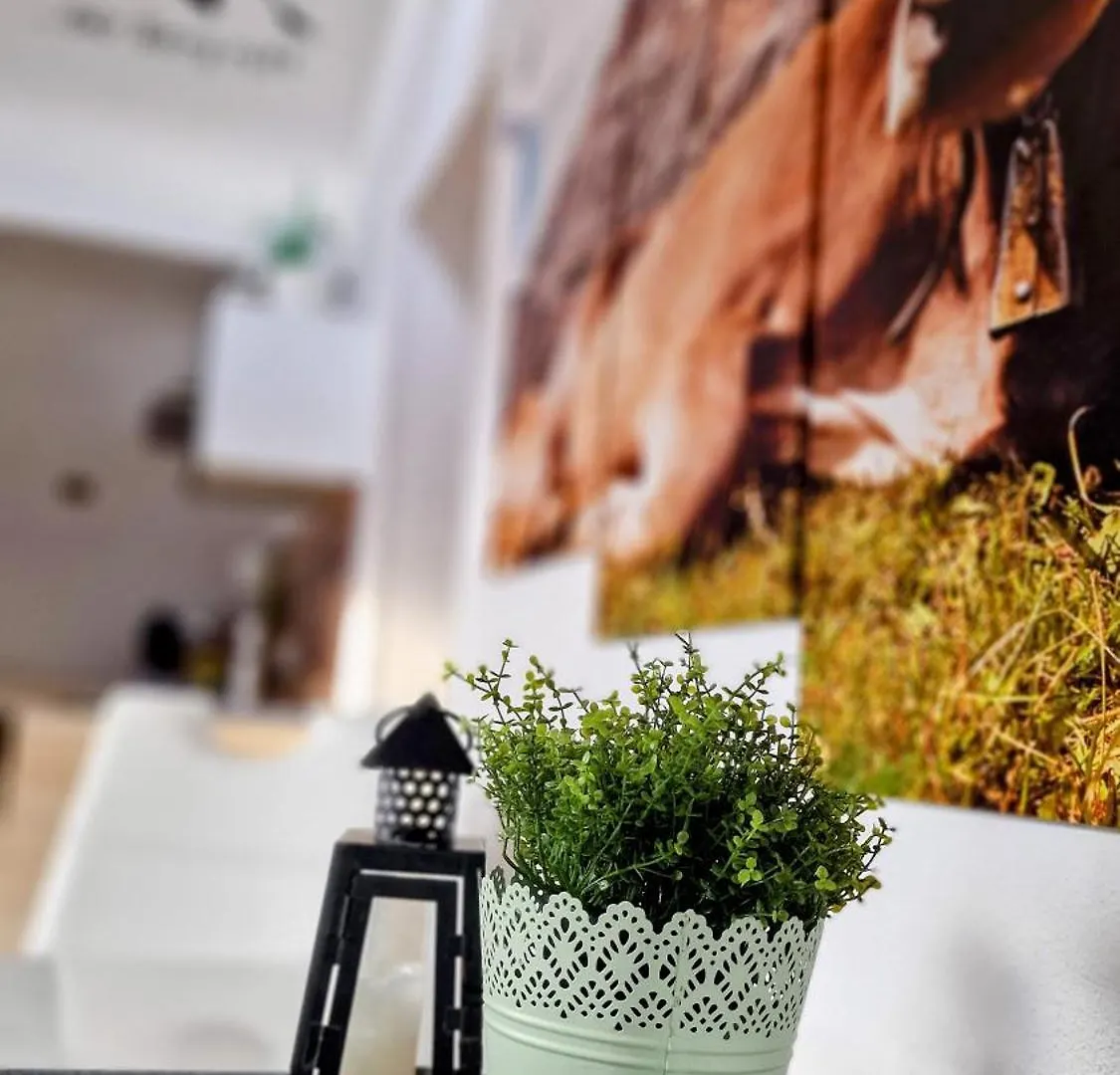 Apartment Ferienwohnungen Wolf - Pfronten Mitte,